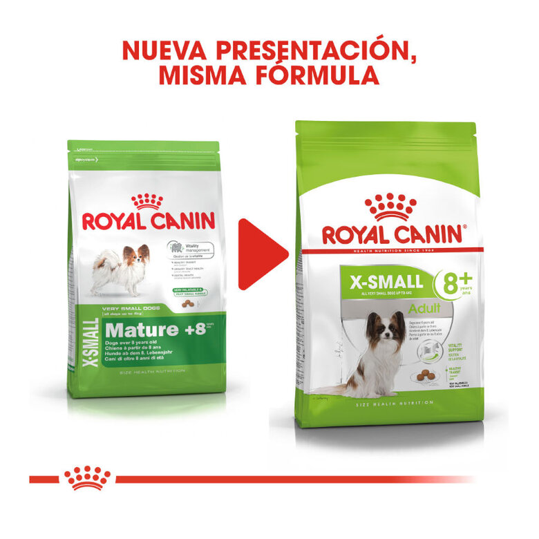 Royal Canin Mature +8 X-Small ração para cães, , large image number null